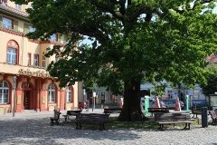 Ausflugstipps für den Landkreis Ostprignitz-Ruppin