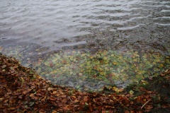 Ausflugstipps für den Landkreis Ostprignitz-Ruppin