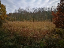 Ausflugstipps für den Landkreis Ostprignitz-Ruppin