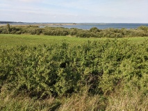 Von Wittstock auf dem Müritz-Radrundweg um das 