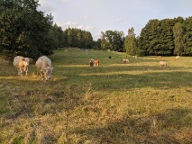 Von Wittstock auf dem Müritz-Radrundweg um das 
