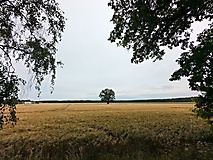 Zeit- und Entdeckungsreise in der Prignitz: Rundtour zur Plattenburg