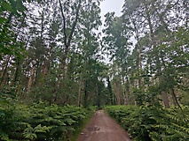 Zeit- und Entdeckungsreise in der Prignitz: Rundtour zur Plattenburg