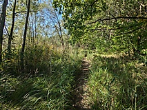 Zwischen Traumstrand und Mühlenteich: Spaziergang in Bork