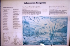 Kiesgrube bei Michendorf