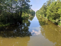 Urwalfeeling am märkischen Amazonas