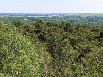 Urwalfeeling am märkischen Amazonas