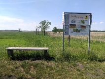 MAZ-Landpartie in Bildern: Urwaldfeeling am märkischen Amazonas