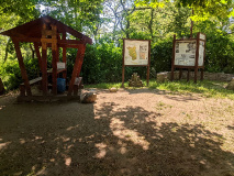 Urwalfeeling am märkischen Amazonas