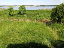 Urwalfeeling am märkischen Amazonas