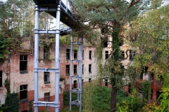 Baumkronenpfad Beelitz