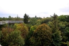 Baumkronenpfad Beelitz