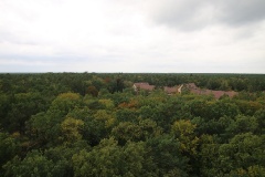 Baumkronenpfad Beelitz