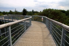 Baumkronenpfad Beelitz