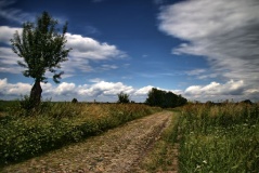 von Wegen, bei Beelitz-Schönfeld