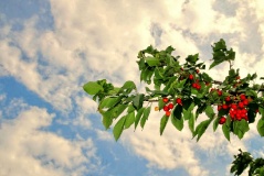 Fotos aus der Region Beelitz