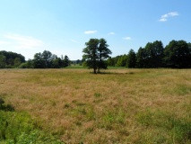 Ausflugstipps für den Landkreis Potsdam-Mittelmark