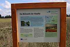 von Beelitz nach Blankensee