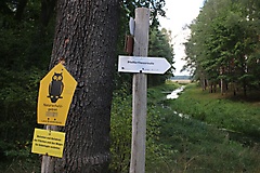 von Beelitz über Rieben nach Blankensee