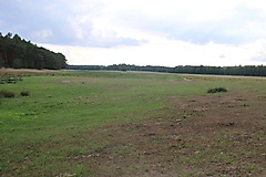 von Beelitz über Rieben nach Blankensee