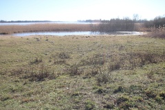Auf dem Storchenradweg von Brandenburg an den oberen Beetzsee
