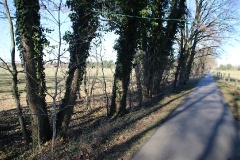 Auf dem Storchenradweg von Brandenburg an den oberen Beetzsee