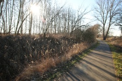 Auf dem Storchenradweg nach Bollmannsruh