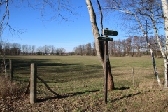 Auf dem Storchenradweg von Brandenburg an den oberen Beetzsee
