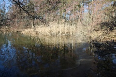 Auf dem Storchenradweg von Brandenburg an den oberen Beetzsee