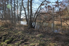 Auf dem Storchenradweg von Brandenburg an den oberen Beetzsee