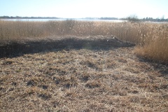 Auf dem Storchenradweg von Brandenburg an den oberen Beetzsee