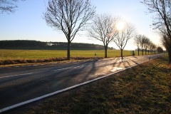 Auf dem Storchenradweg von Brandenburg an den oberen Beetzsee