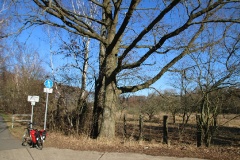 Auf dem Storchenradweg nach Bollmannsruh