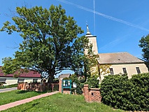 Rundtour von Brandenburg zur Schwedenlinde in Brielow