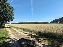 Rundtour von Brandenburg zur Schwedenlinde in Brielow