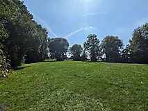 Rundtour von Brandenburg zur Schwedenlinde in Brielow