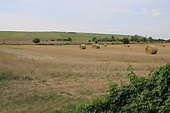 Region Lehnin/Groß Kreutz