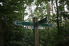 von Werder/Havel nach Deetz und zum Kloster Lehnin