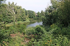MAZ-Landpartie: Rundtour von Werder nach Deetz und zum Kloster Lehnin