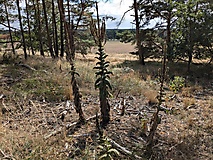 Berge, Weite, Wald und ein Refugium mit Aussicht - Wanderung zum Götzer Wachtelberg