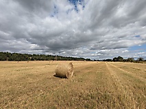 Berge, Weite, Wald und ein Refugium mit Aussicht - Wanderung zum Götzer Wachtelberg