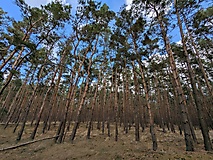 Berge, Weite, Wald und ein Refugium mit Aussicht - Wanderung zum Götzer Wachtelberg