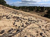 Berge, Weite, Wald und ein Refugium mit Aussicht - Wanderung zum Götzer Wachtelberg