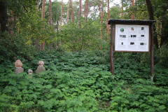 Sonnensystemweg zwischen Deetz und Groß Kreutz