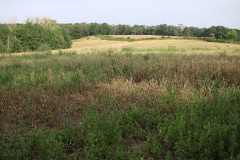 Sonnensystemweg zwischen Deetz und Groß Kreutz