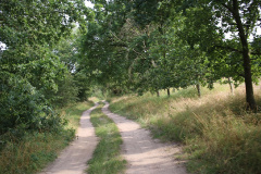 Sonnensystemweg zwischen Deetz und Groß Kreutz