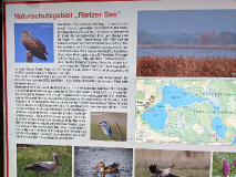 Tolles Naturerlebnis: Wanderung am Netzener See und Strengsee