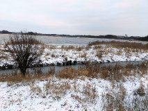 Tolles Naturerlebnis: Wanderung am Netzener See und Strengsee