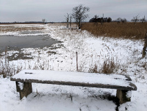 Tolles Naturerlebnis: Wanderung am Netzener See und Strengsee