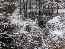 Tolles Naturerlebnis: Wanderung am Netzener See und Strengsee